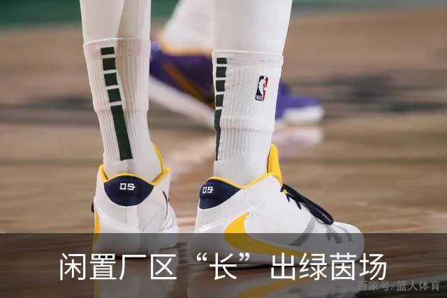 闲置厂区“长”出绿茵场